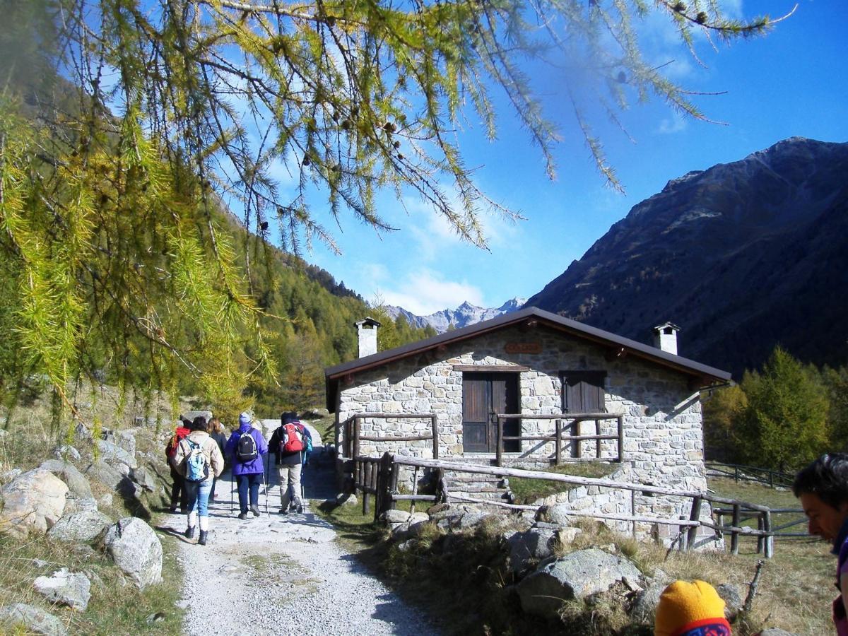 Casa Del Parco Dell'Adamello Di Vezza D'Oglio Hostel Eksteriør bilde